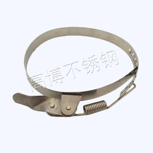  不锈钢弹簧喉箍